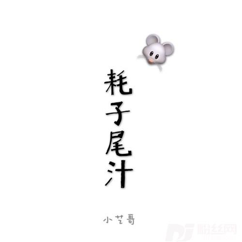 耗子尾汁的专辑