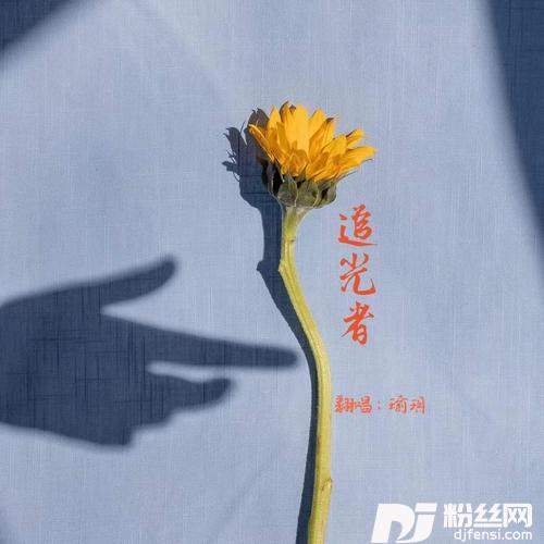 追光者cover:岑宁儿