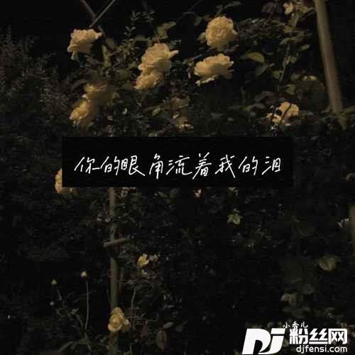 你的眼角留着我的泪