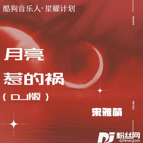 月亮惹的祸DJ版