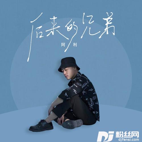 后来的兄弟DJ版