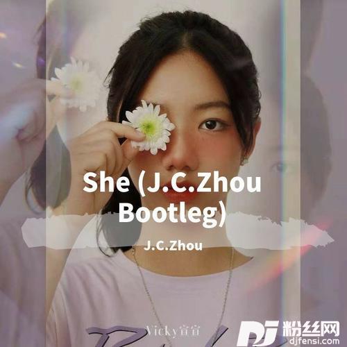 Sheremix:Vicky宣宣的专辑