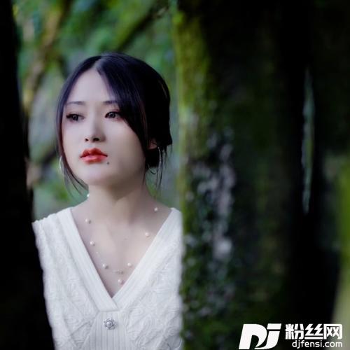 家乡的雪花的专辑