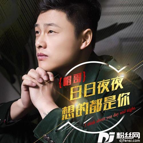 日日夜夜想的都是你DJ慢摇版