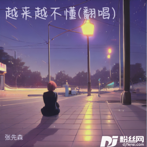 越来越不懂张先森remix的专辑