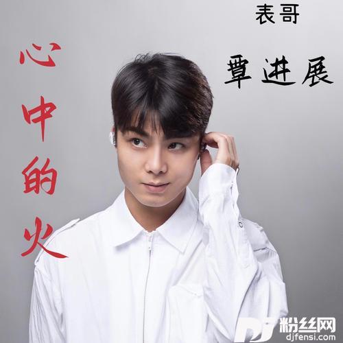 心中的火的专辑
