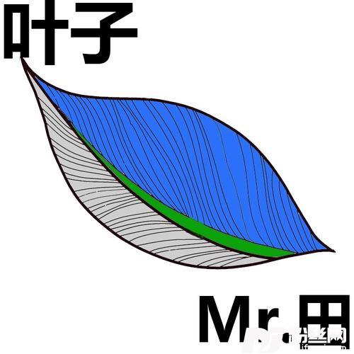 叶子cover:羽泉的专辑
