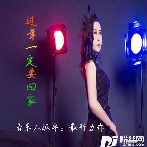 过年一定要回家
