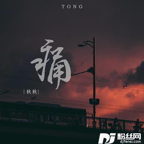 痛DJ名龙版