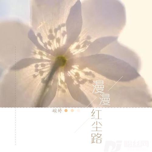 最伤感的情歌