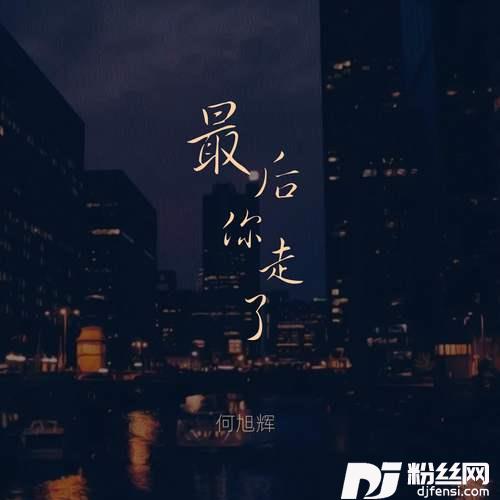 最后你走了