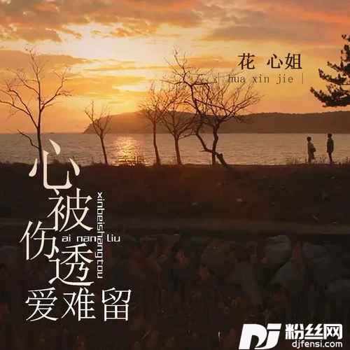 心被伤透爱难留DJ默涵版的专辑
