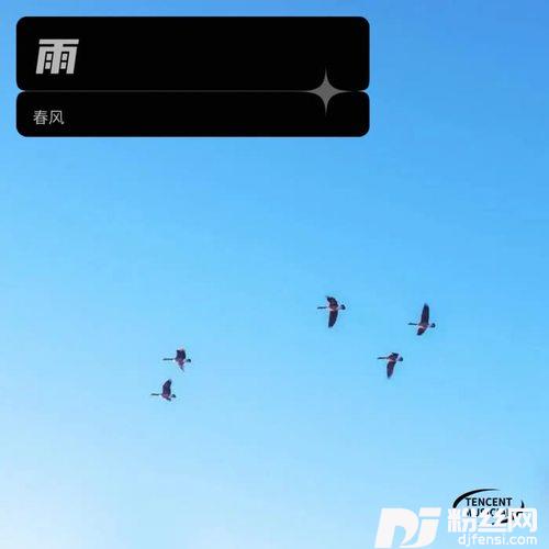 雨其他的专辑