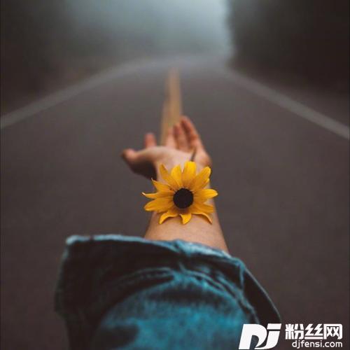 燕儿归cover:牛奶咖啡|黄旭