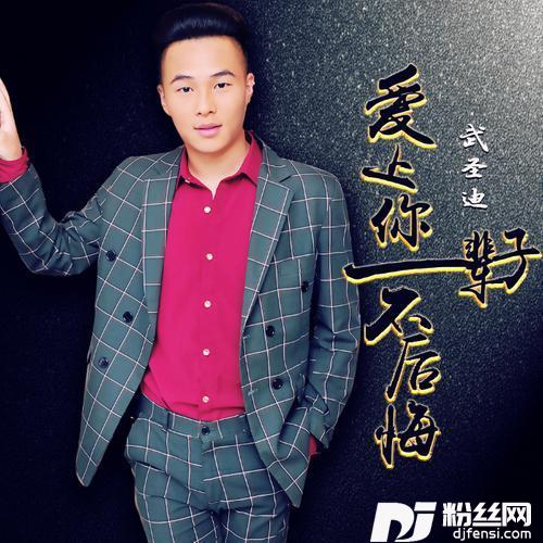 爱上你一辈子不后悔其他