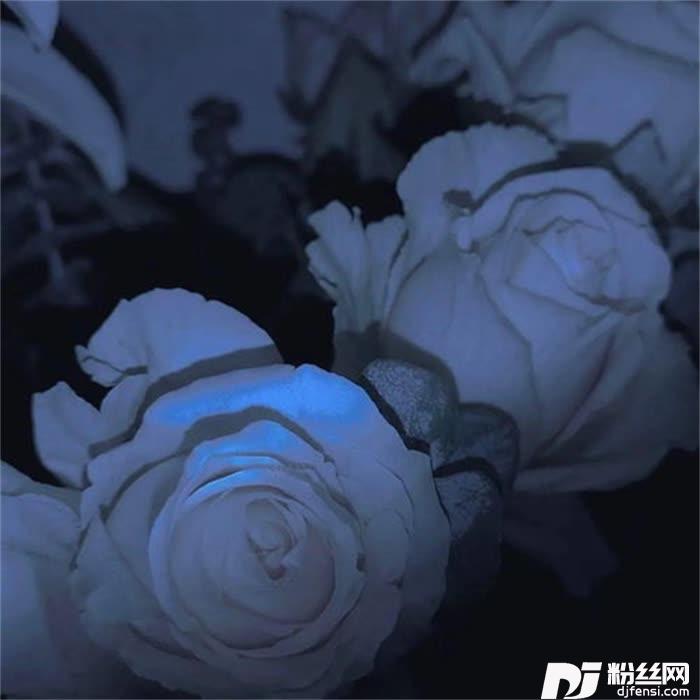 反正我也没什么关系女版的专辑