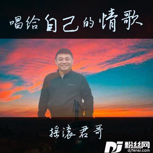 唱给自己的情歌的专辑