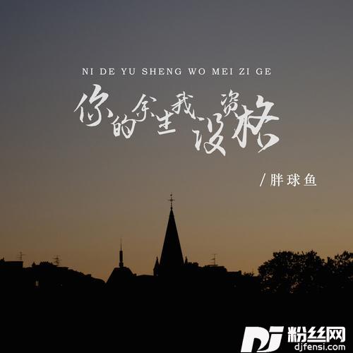 你的余生我没资格