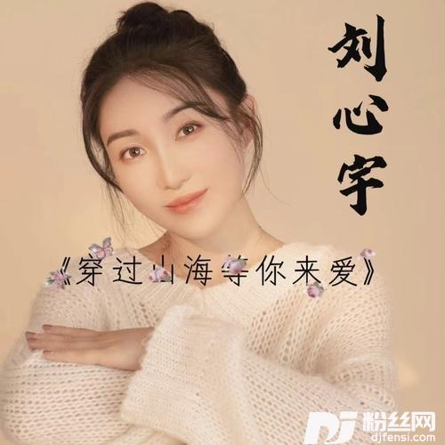 穿山过海等你来爱（DJ沈念版）Remix