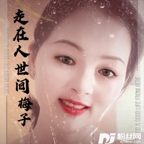 走在人世间cover:风语
