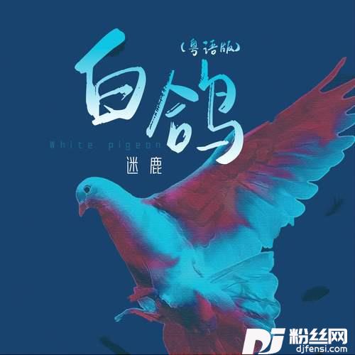 白鸽粤语版