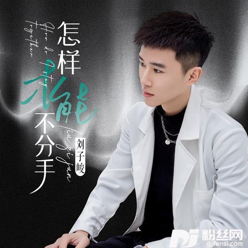 怎样才能不分手DJR8版的专辑