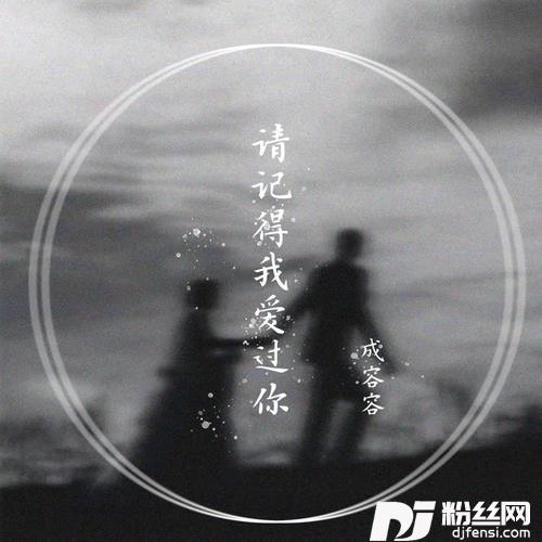 请记得我爱过你DJ可乐版
