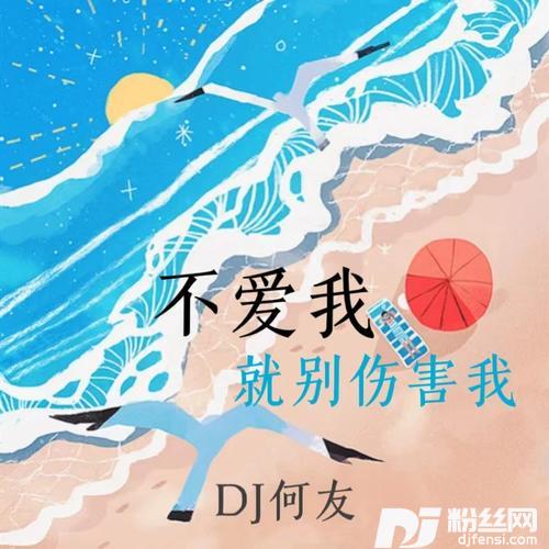 不爱我就别伤害我DJ何友remix的专辑