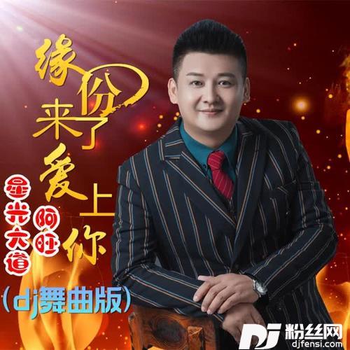 缘份来了爱上你DJ伟然版