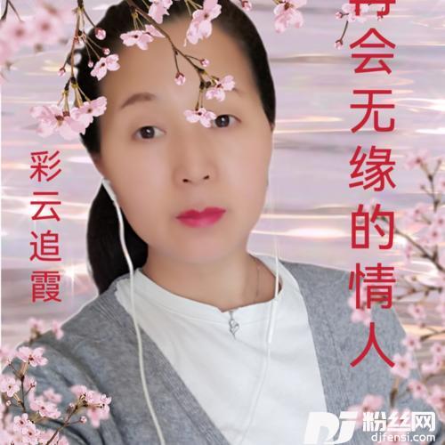 再会无缘的情人cover:苏家玉