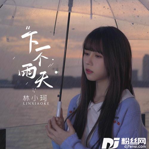 下一个雨天