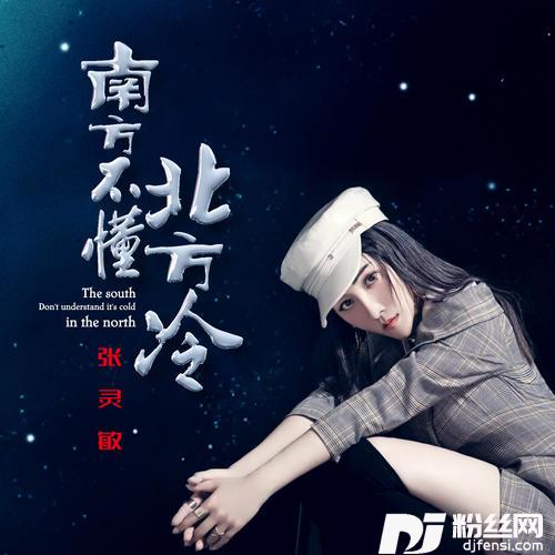 南方不懂北方冷DJ伟然版