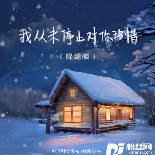 我从未停止对你珍惜降速版