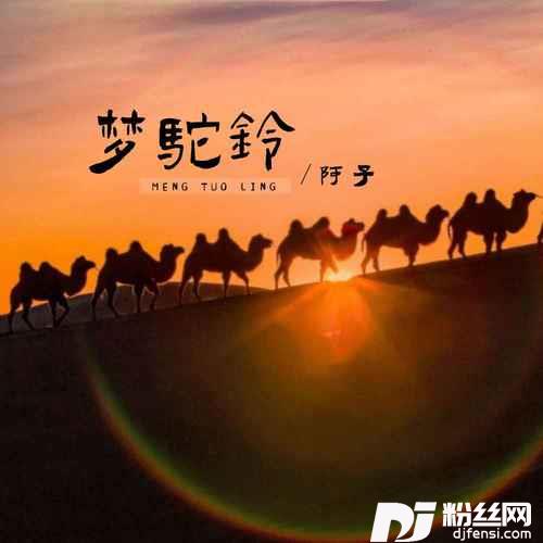 梦驼铃DJ默涵版