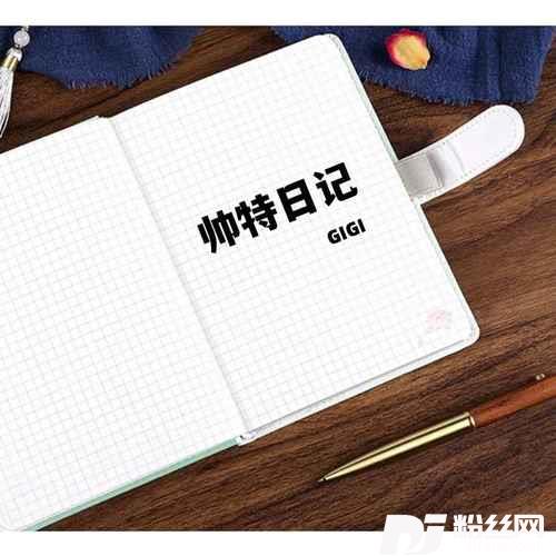 帅特日记