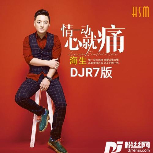 情一动心就痛（DJR7版）