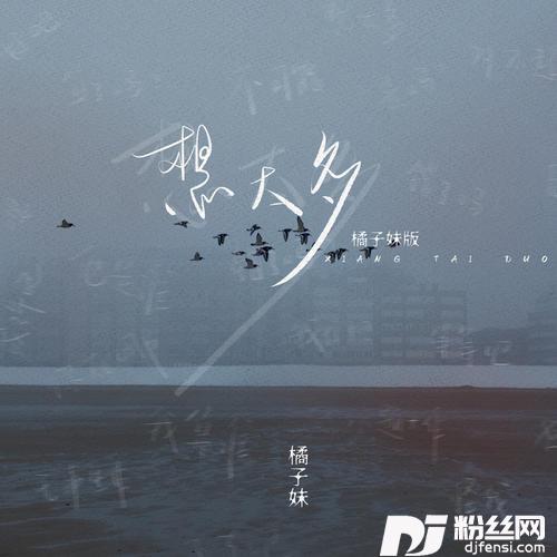 想太多橘子妹版