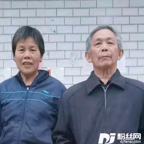 我的爸爸妈妈