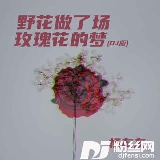 野花做了场玫瑰花的梦DJR7版