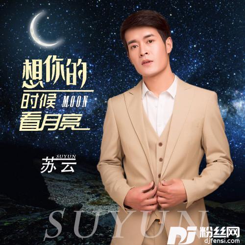 想你的时候看月亮