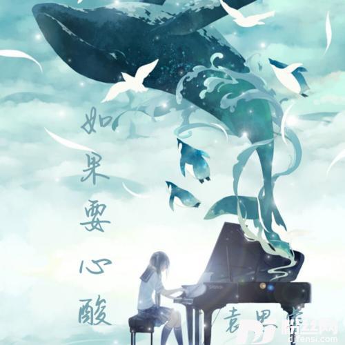 如果要心酸抖音完整版的专辑