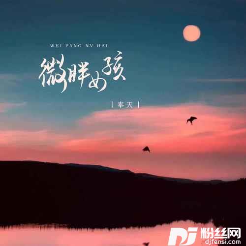 微胖女孩的专辑