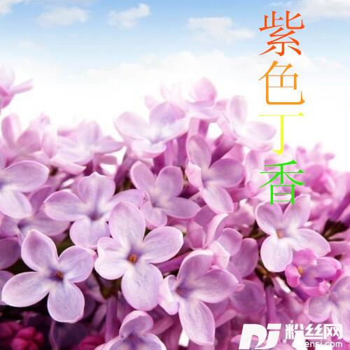 水墨画