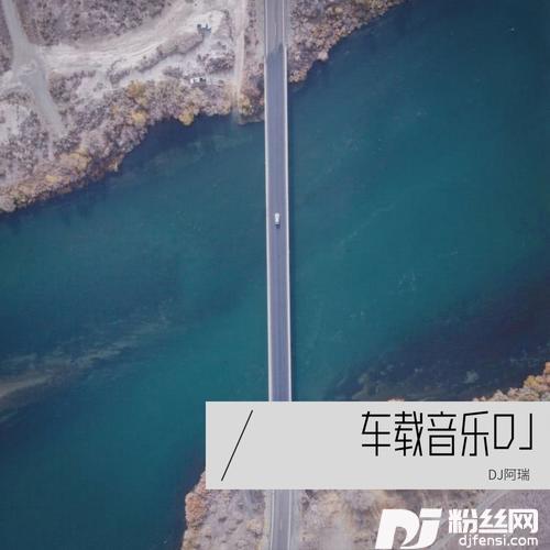 我的眼里只有你DJ阿瑞remix
