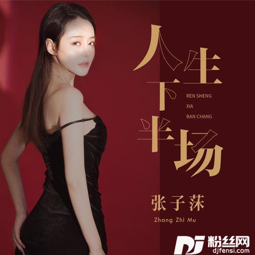 人生下半场（DJ默涵版）