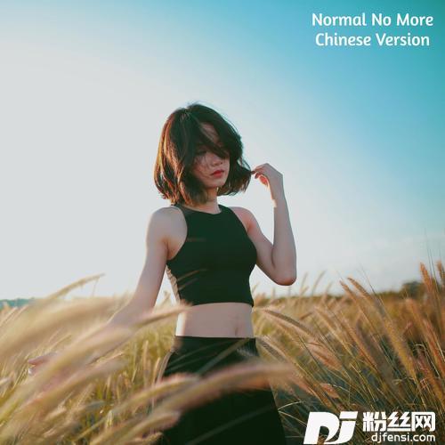 NormalNoMorefeat.DjDouyinRemix|ChineseVersion的专辑