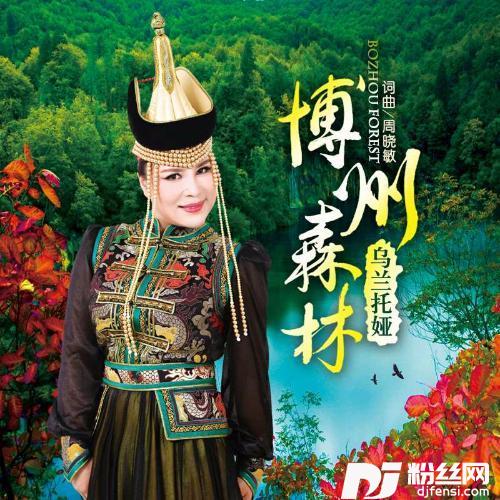博州森林