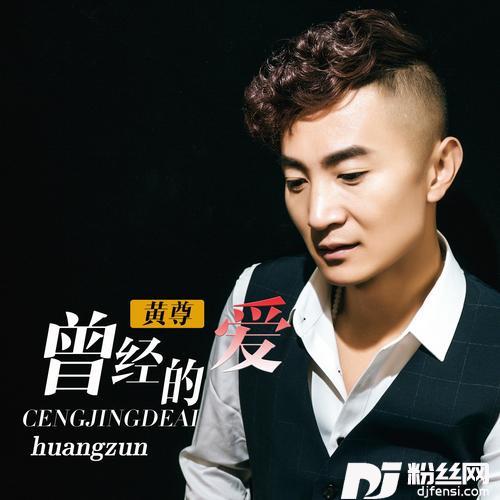 曾经的爱DJ何鹏版