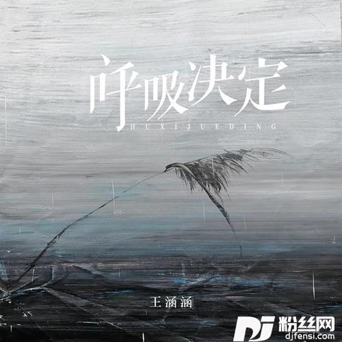 呼吸决定的专辑