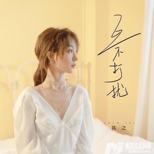 互不打扰DJ伟然版